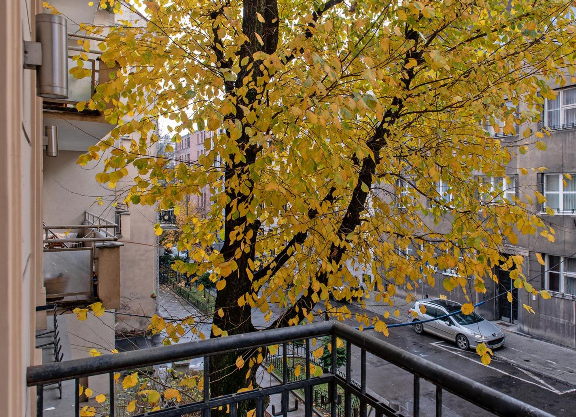 3D Wygoda Apartamenty Краков Номер фото